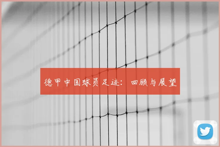 德甲中国球员足迹:回顾与展望