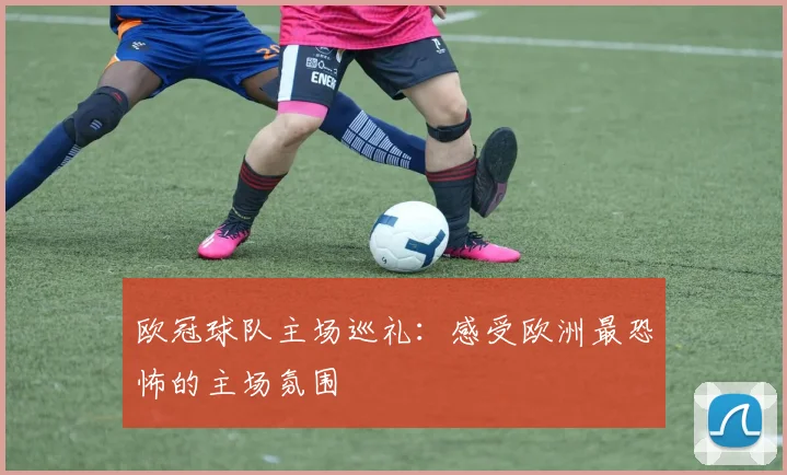 欧冠球队主场巡礼:感受欧洲最恐怖的主场氛围